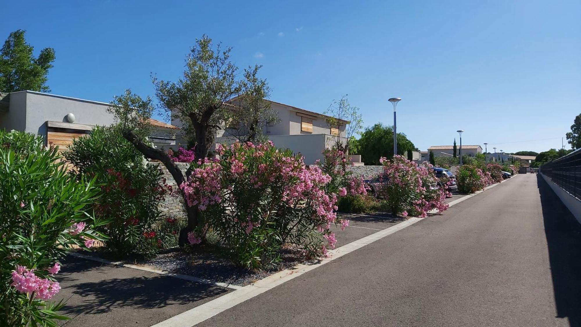 Villa Home Holiday A Cala Rossa ลิชชี ภายนอก รูปภาพ